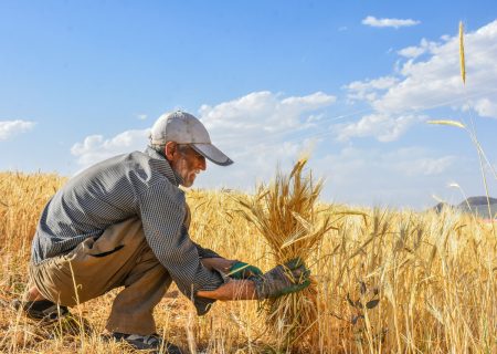 سقف دار شدن معافیت مالیاتی کشاورزان