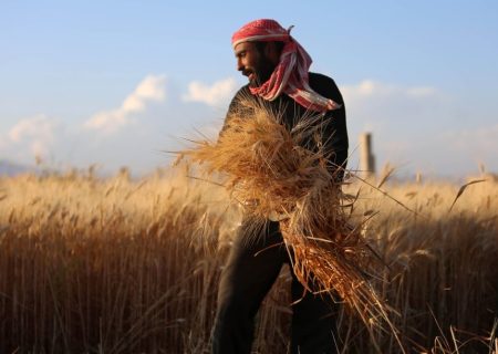 هزاران کشاورز در معرض ورشکستگی قرار گرفتند