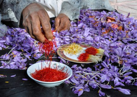 عوارض صادراتی زعفران حذف شد